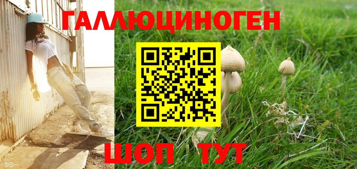 Галлюциногенные грибы мицелий Сергиев Посад