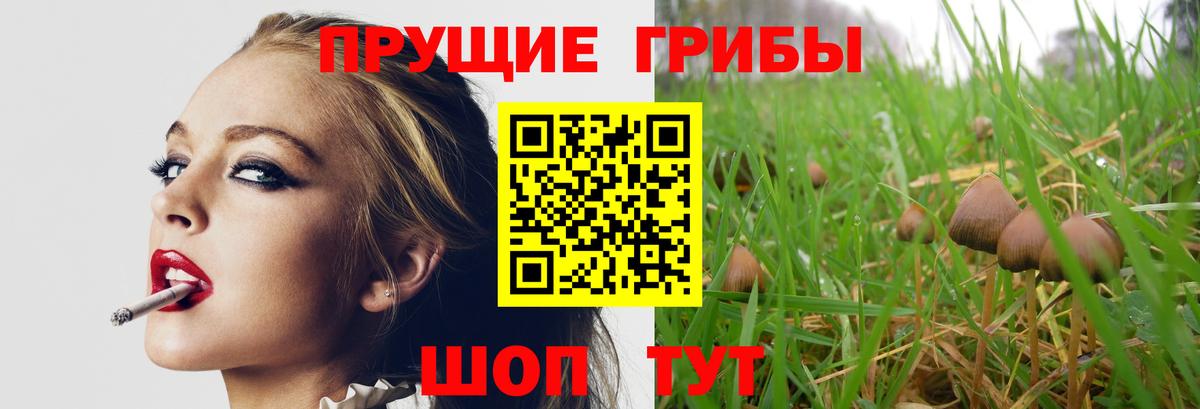 Псилоцибиновые грибы мицелий  Галлюциногенные грибы прущие грибы  Вход с VPN  Сергиев Посад 